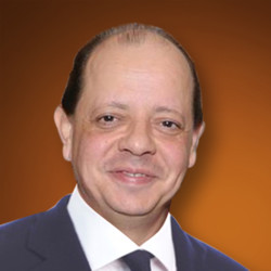 Amr Shabrawishi, Co-Chairman