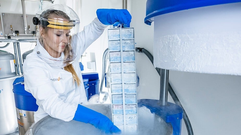 AGE1.CR.ReX Designer Cell Line for Stable, High-Titer Poxvirus Production