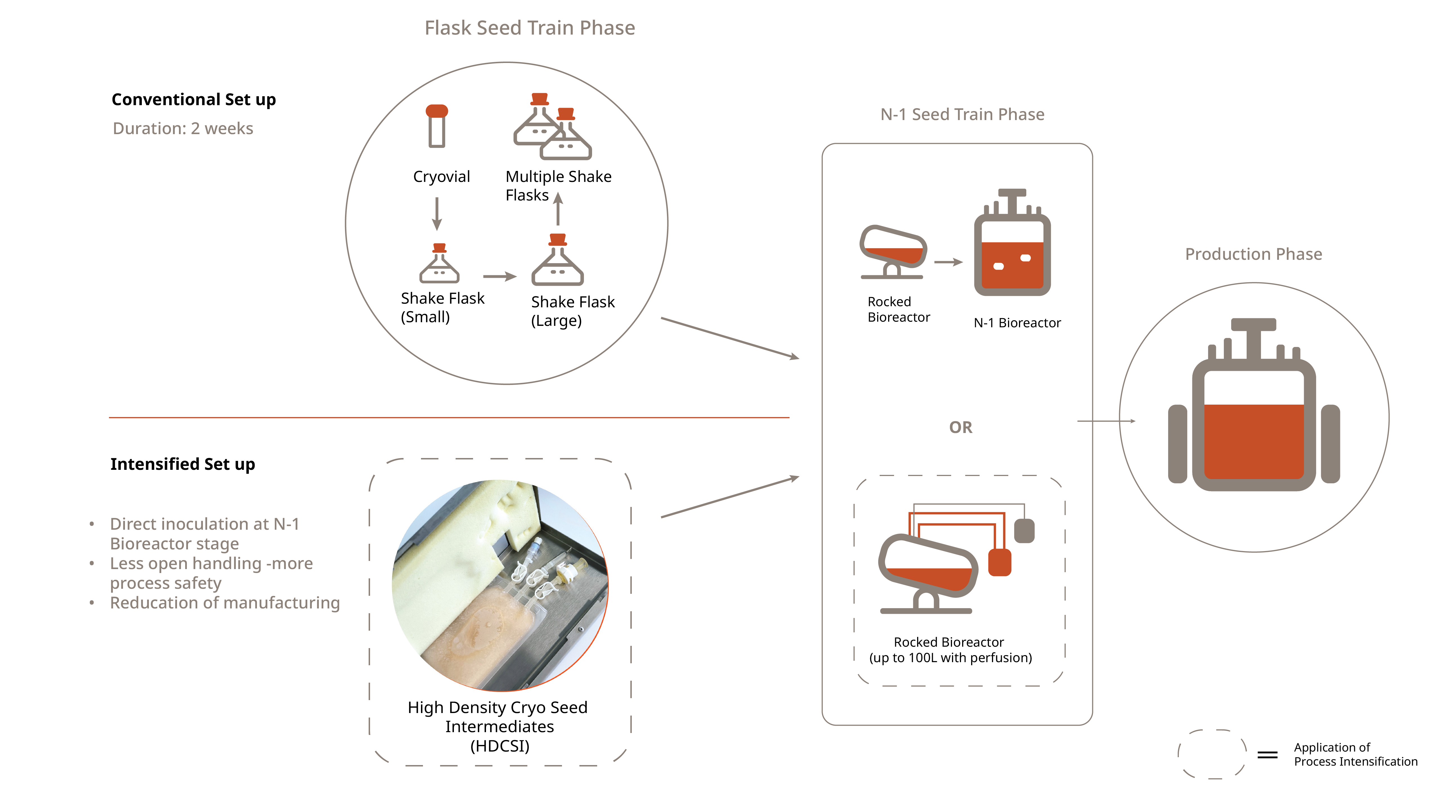 Investing in Efficiency: Benefits of Process Intensification in ...