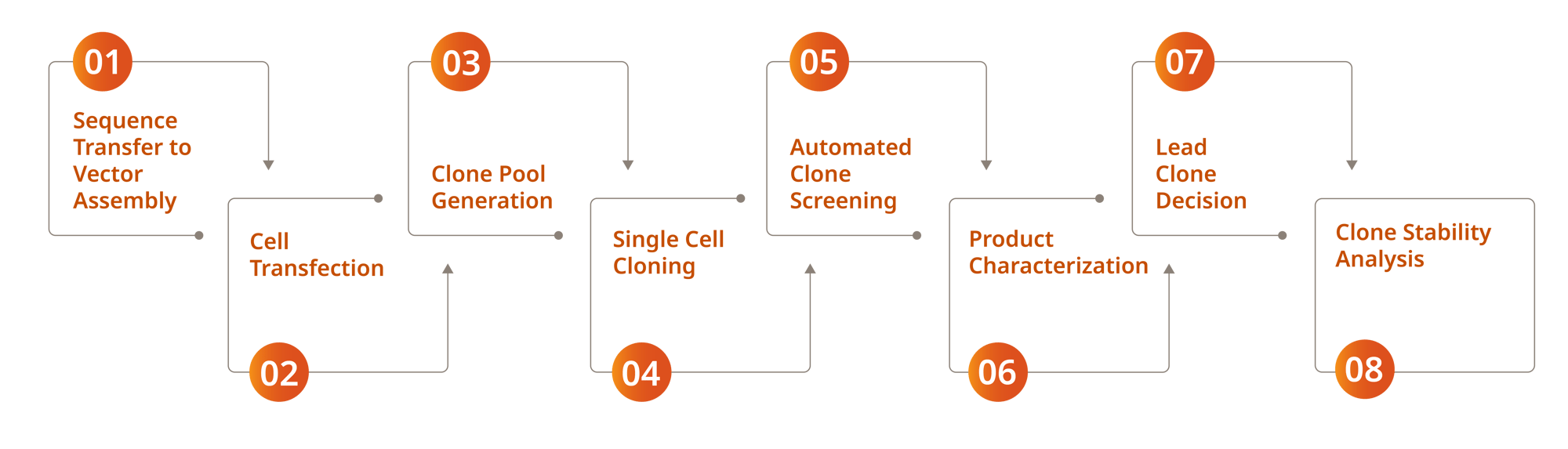Process CLD Process CLD