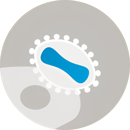 AGE1 Designer Cell Line 