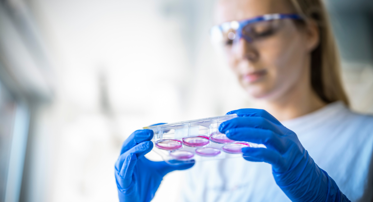 Beyond the Bottleneck – Rethinking LVV Manufacturing for Scalable Success