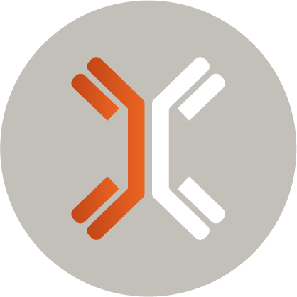 Multispecific Antibodies